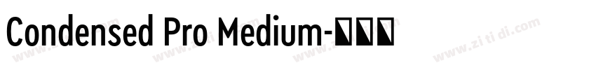 Condensed Pro Medium字体转换